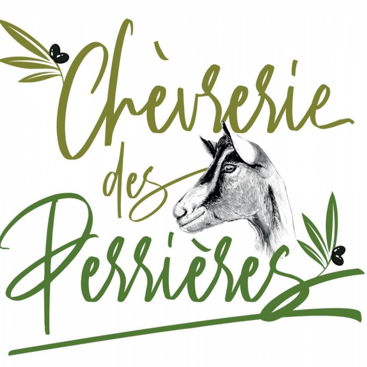 Producteur de fromages de chèvre Lambesc Chèvrerie des Perrières